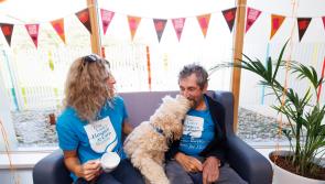 Charlie Bird leads €2m Hospice drive on Ireland's biggest coffee morning