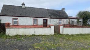 PICTURES: Fixer-upper dream right on Offaly  border on sale for just  €60,000