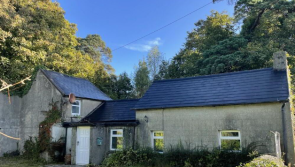 PROPERTY WATCH: DIYers dream cottage up for auction in Waterford with fantastic starting price