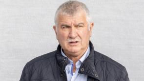 Ballybofey farmer to stand trial on animal cruelty and welfare charges