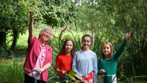 Primary schools in Louth asked to plant a tree on SPAR National Tree Day