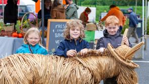 Applefest  brings vibrancy and colour to the streets of Clonmel for family festival