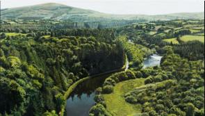 Renowned Kilkenny artist has solo show at the Royal Hibernian Academy