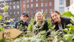 Kilkenny organisation to rececive €5,000 from Coca-Cola Thank You Fund