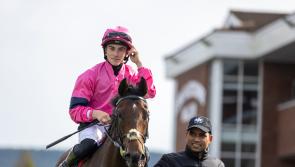 Jockey Wayne Hassett doubles up in the winning enclosure at Killarney and Tipperary 