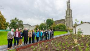 In Pictures: Minister for Heritage visits four local biodiversity projects in Carlow