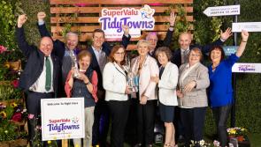 'Marvellous Abbeyleix has done Laois proud' 