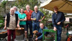 PICTURES: People making the best of their fruit harvests in KIlkenny