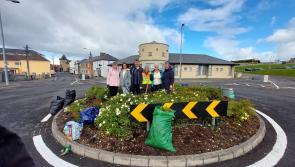 Marks improve all round for Donegal MD Tidy Town participants 