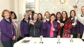 'Strengthen your community and boost your CV' says volunteer appeal from Laois Kildare credit union