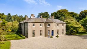 This €1.5million Georgian mansion dating back to 1780 is for sale across the Carlow border