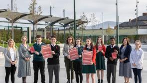 Tipperary  students team up for heartwarming Christmas project