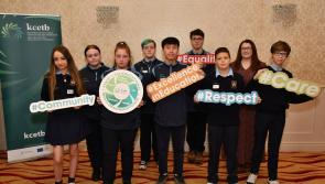 Kilkenny students take part in important training day 