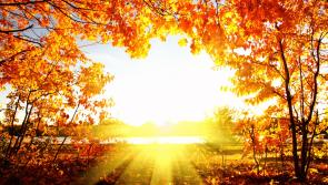 WEATHER: 'Sunshine increasing' 'above 20c', Carlow weather man gives weather update