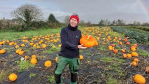 Pick IOSAS Centre's Pumpkin Day this Hallowe'en