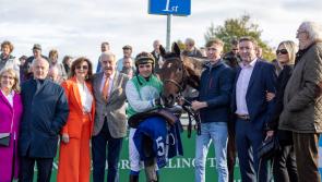 Tipperary horse racing winners galore over the past seven days 