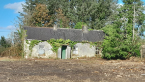 PICTURES: Is this the cheapest house in Longford? Cottage with big surprise for €45k