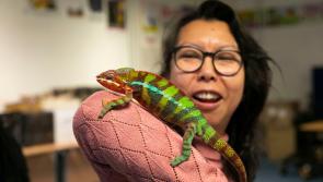 Waterford to host free events as part South East Science Festival 