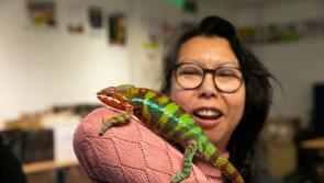 Action packed programme of activities for South East Science Festival