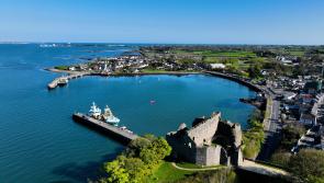 Draft Climate Action Plan developed for Carlingford catchment areas