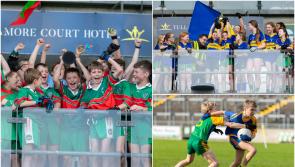 BIG PICTURE SPECIAL: Huge gallery of pictures from the Offaly Cumann na mBunscol football finals