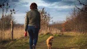 Carlow Sports Partnership are hosting a free Winter Walking Series across the county