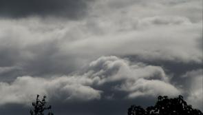 WEATHER: 'Another mild and damp morning' As dull weather continues in Carlow