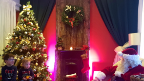 Jurassic Newpark Christmas Experience opening soon! - Kilkenny Live