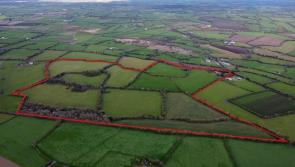Local farmer snaps up Offaly house on 100 acres for cool €1.4m at auction