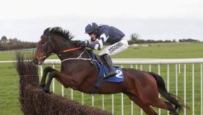 Top week for Tipperary jockeys and trainers with success across the country
