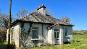 PROPERTY WATCH: Cosy Longford fixer-upper cottage ready for revamp at tempting price