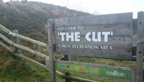 'Hard to find' viral signpost in neighbouring Laois has been replaced