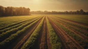 Organic Farm Scheme re-opened to new applicants 