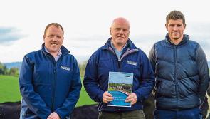 Lakeland Dairies launches Sustainability Incentive Payment