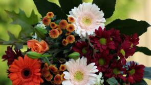 Death notices for Donegal on Thursday morning, November 16