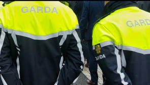 Gardaí respond after car and van set on fire in Offaly attacks