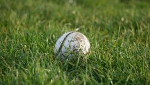 Popular Louth GAA club has appointed a very big name as coach for next season 
