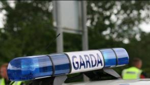 Two people released without charge in relation to shooting incident in Carlow