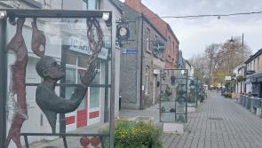 Mayor of Newbridge, County Kildare, condemns ‘disgraceful’ vandalism incident on George's Street
