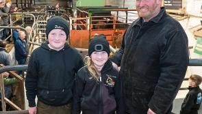 Donegal sheep farmer replaces Kevin Comiskey as Chair of IFA Sheep Committee