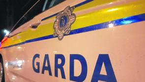 County Kilkenny resident allegedly caused criminal damage to garda car in County Kildare
