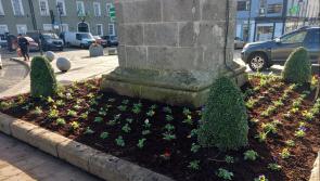 Birr Tidy Towns aiming for Gold Medal in 2024