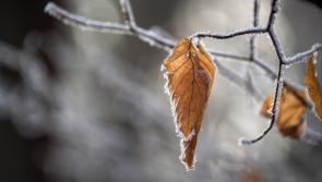 Turning gradually colder with frost and ice as temperatures fall as low as -2C