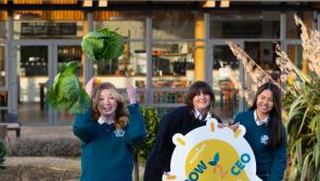 GROW2CEO aims to seek out Louth's next generation of Food Entrepreneurs