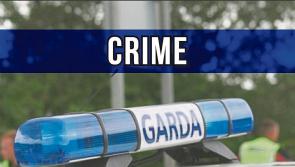 Gardaí investigate theft of registration plates from Kilkenny carpark