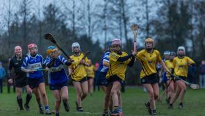 Celebrations in west Tipperary as Kickhams win county camogie crown