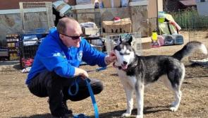 WATCH: Laois-based dog rescuer who won national ward  explains why he volunteers