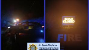 Emergency services dealing with fallen tree in Laois