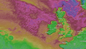 'It was like a tornado' - Offaly people react as Storm Pia rips across Ireland amid Met Éireann warnings