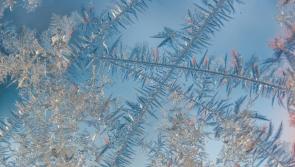 Louth Weather: Cold to begin with any frost clearing